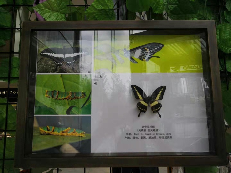 速耐氣動(dòng)工具